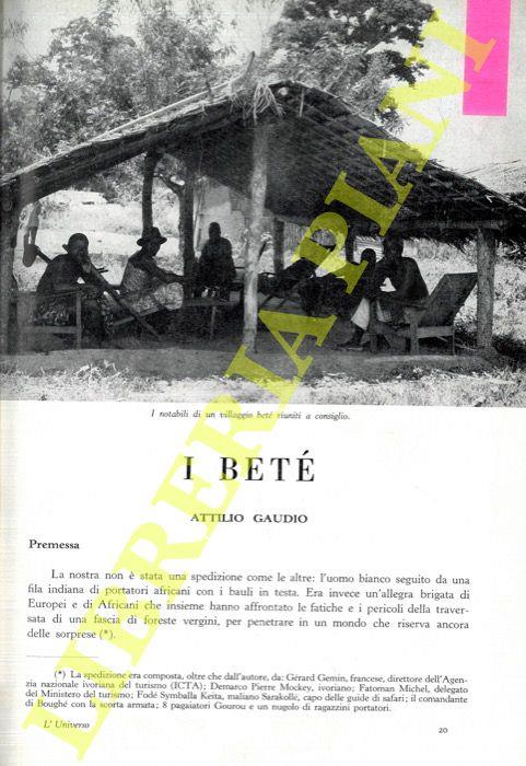Libreria Piani