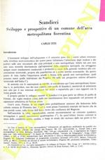 Scandicci. Sviluppo e prospettive di un comune dell'area metropolitana fiorentina