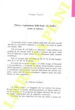 Flora e vegetazione delle Isole «Li Galli» (Golfo di Salerno)