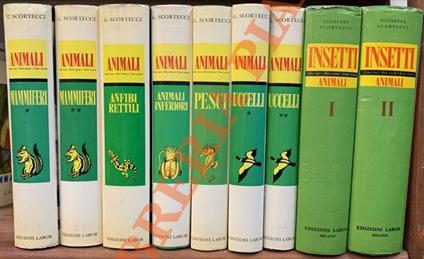Animali. Come sono. Dove vivono. Come vivono. + Insetti. + Animali inferiori - Giuseppe Scortecci - copertina