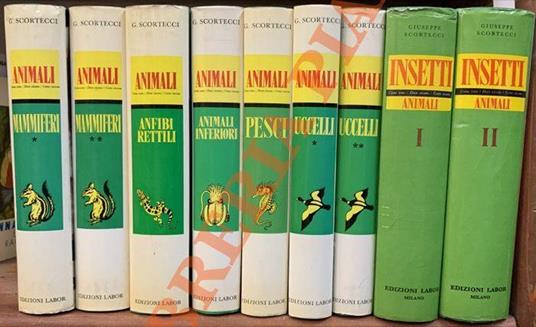 Animali. Come sono. Dove vivono. Come vivono. + Insetti. + Animali inferiori - Giuseppe Scortecci - copertina