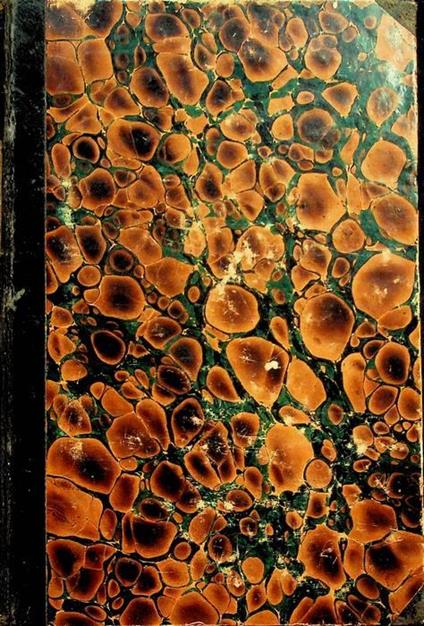 I paragrafi del Codice civile austriaco avvicinati dalle leggi romane, francesi e sarde schiariti e suppliti: volume I - copertina