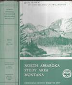 Mineral resources of the north Absaroka Wilderness study Area, Park and sweet grass counties, Montana
