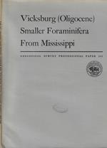 Vicksburg (Oligocene) Smaller Foraminifera from Mississippi