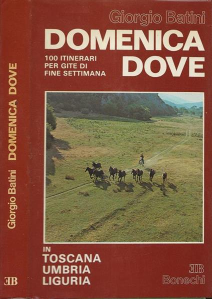 Domenica dove - Giorgio Batini - copertina