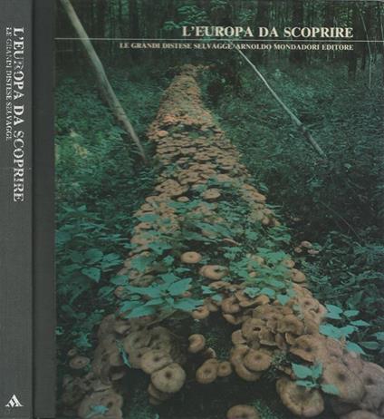L' europa da scoprire - Douglas Botting - copertina