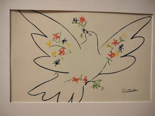 CARTOLINA LA COLOMBE DU FESTIVAL DE LA JEUNESSE - Pablo Picasso - copertina