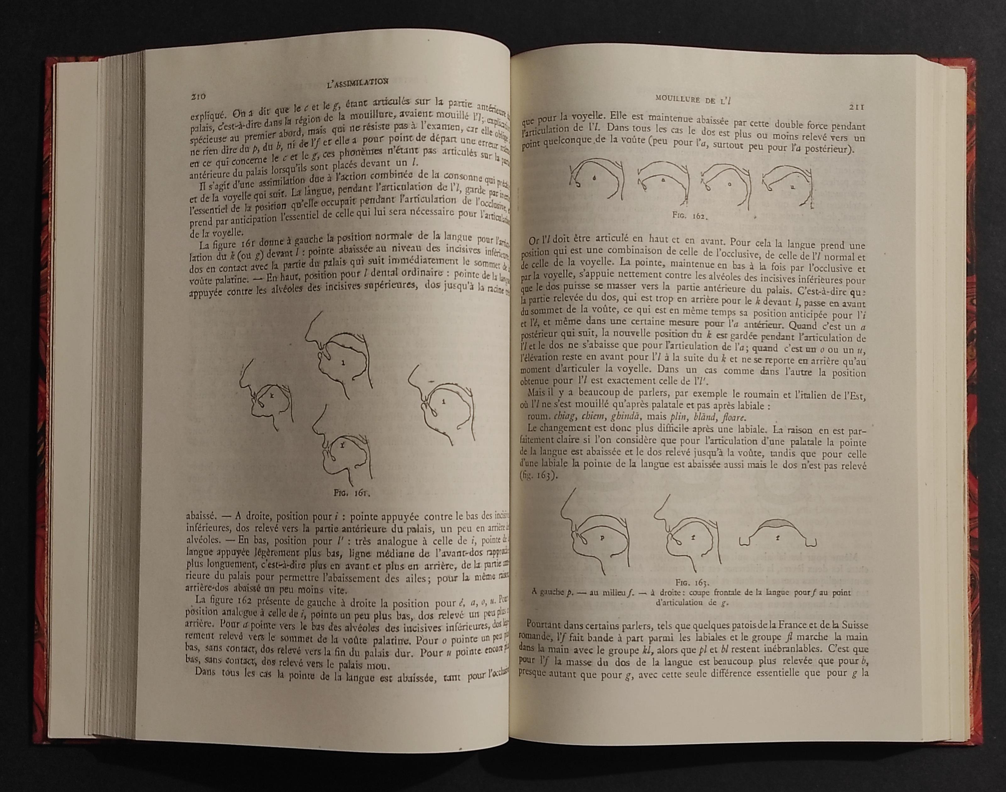 Traité de Phonétique - M. Grammont - Ed. Delagrave - 1946