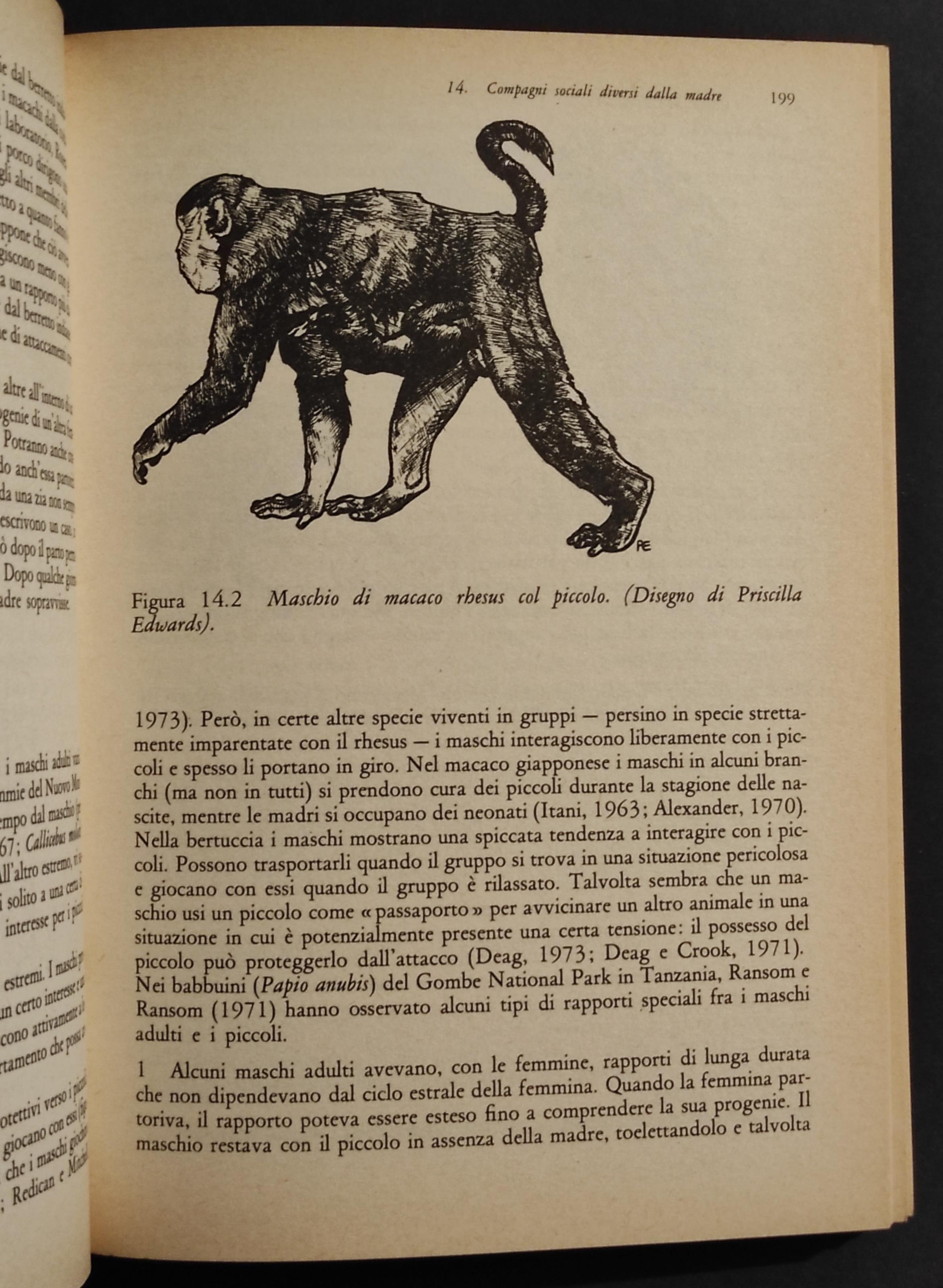 Le Basi Biologiche del Comportamento Sociale Umano - Hinde - Ed. Zanichelli - 1979