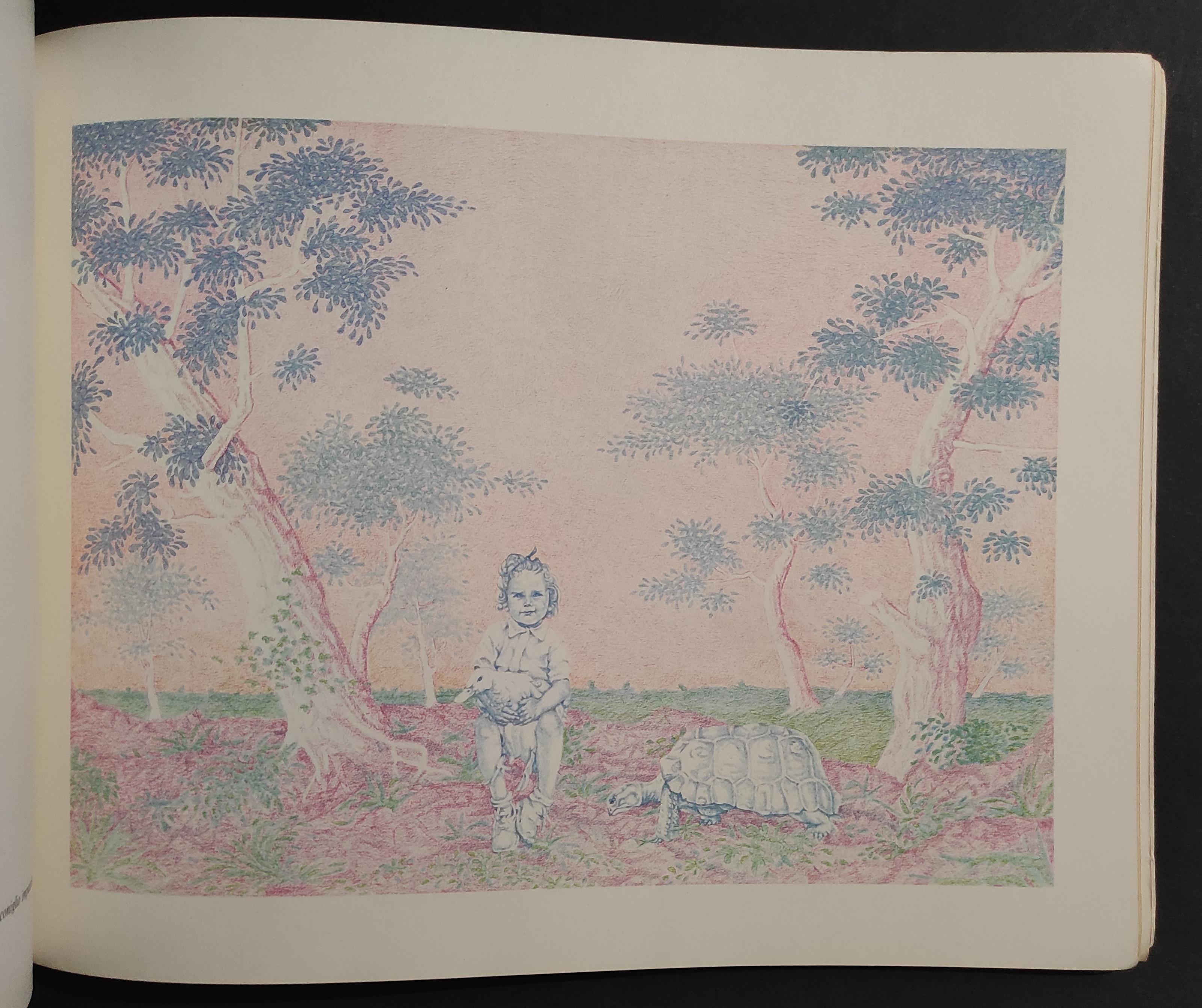 La Nuova Fata dai Capelli Turchini - G. Soavi, G. Fravega - Ed. Emme - 1983