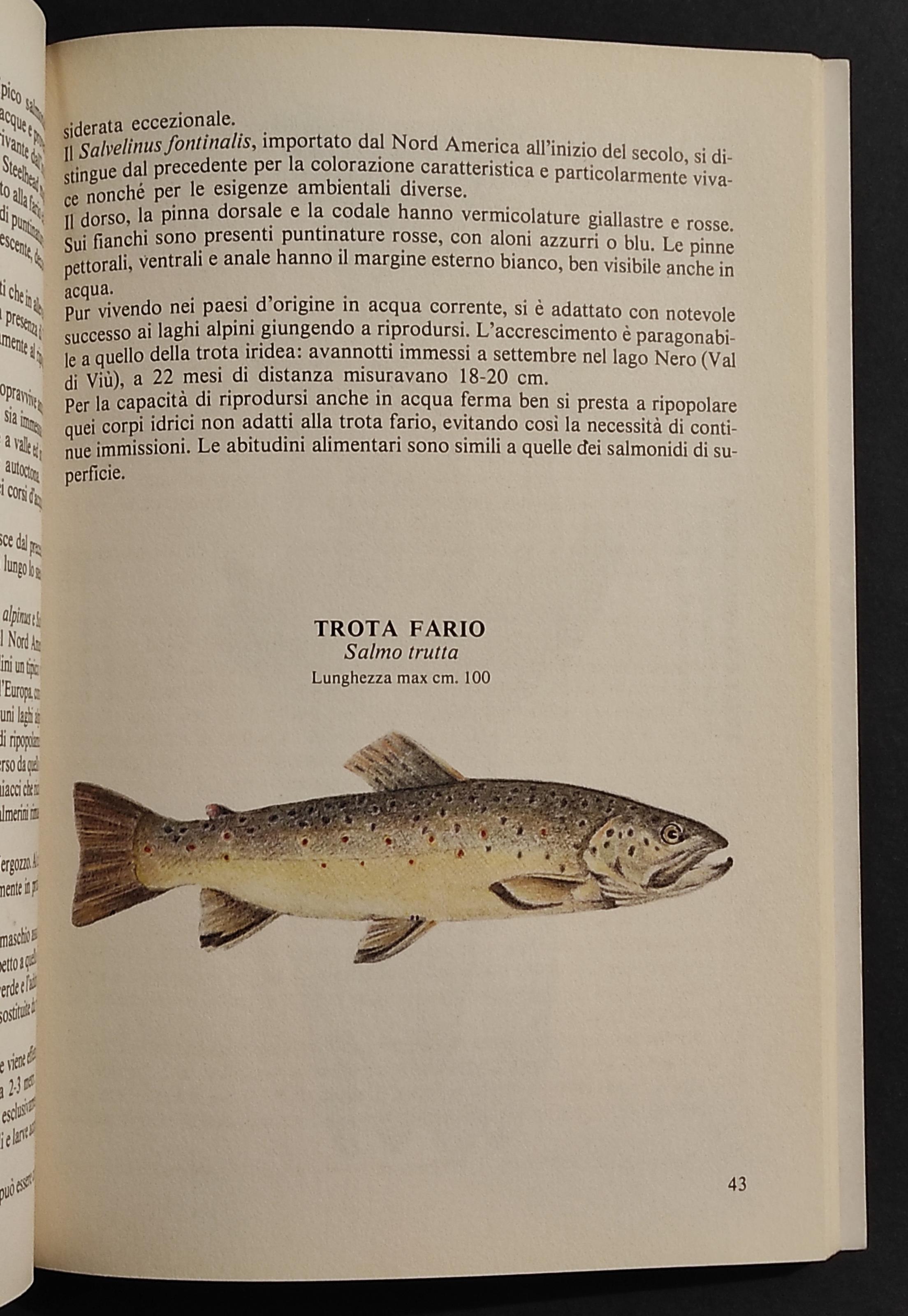 Piemonte - Acque-Pesci-Pesca - G. Forneris - Ed. Eda - 1984