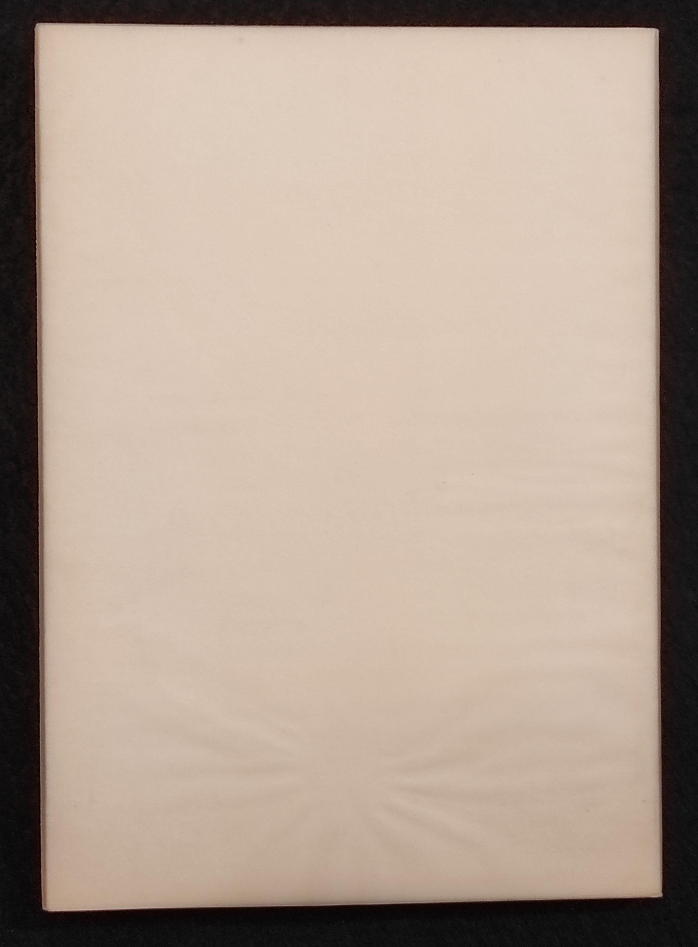 Wols - Photographien Aquarelle Druckgraphic - 1988