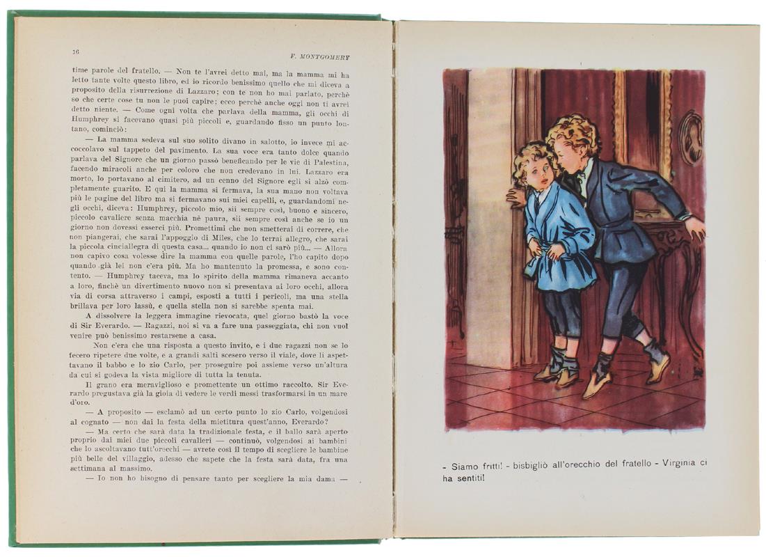 Incompreso. A Cura Di Fabia Forni