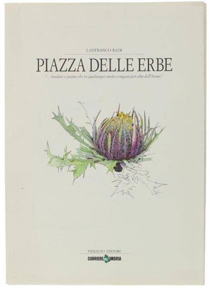 Piazza Delle Erbe - Lanfranco Radi - copertina