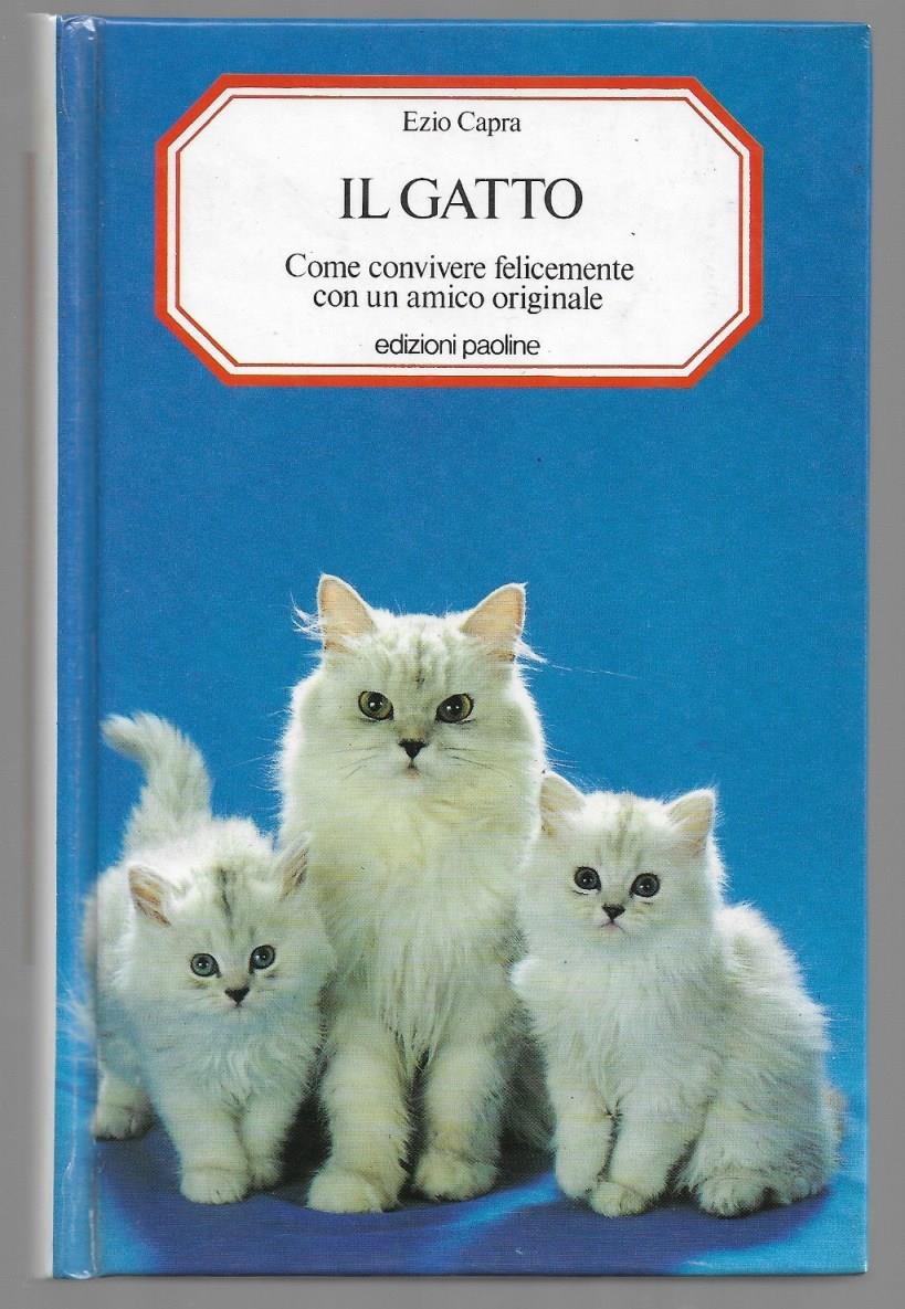 Libreria Trippini Sergio