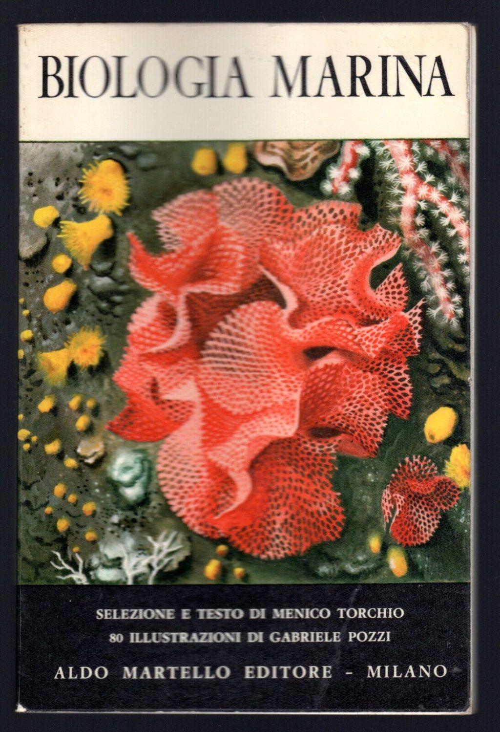 Libreria Trippini Sergio