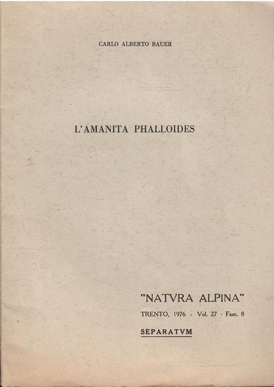 Libroteka di Fattoretti Silvia