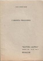 L' Amanita Phalloides