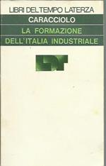 La formazione dell'Italia industriale