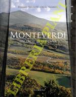 Monteverdi. Un paese in Toscana