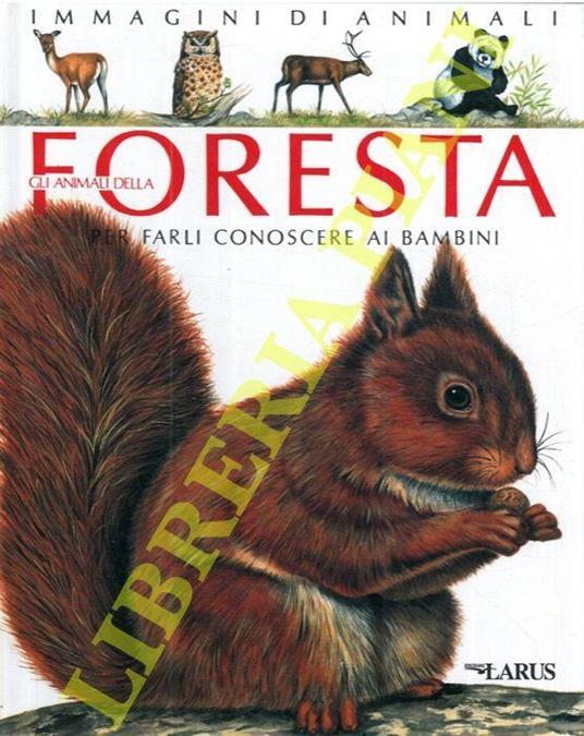 Gli animali della foresta. Immagini di animali per farli conoscere ai  bambini - Emilie Beaumont - Libro Usato - Larus 