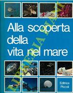 Alla scoperta della vita nel mare