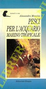 Pesci per l'acquario marino tropicale