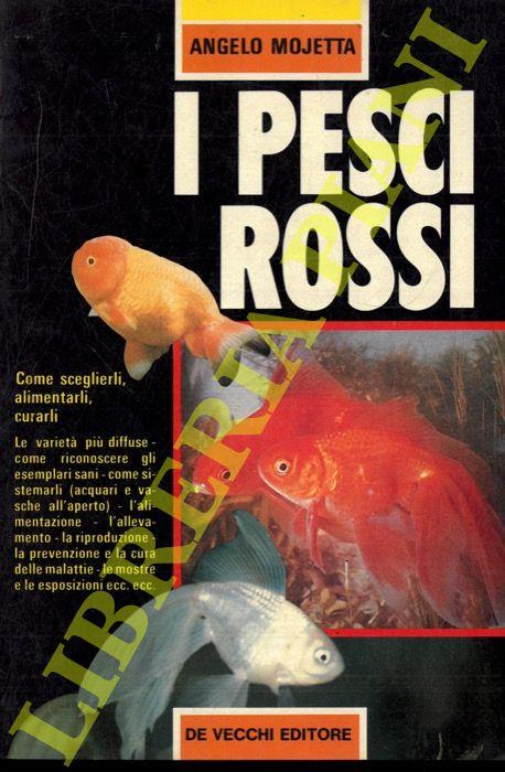 Libreria Piani