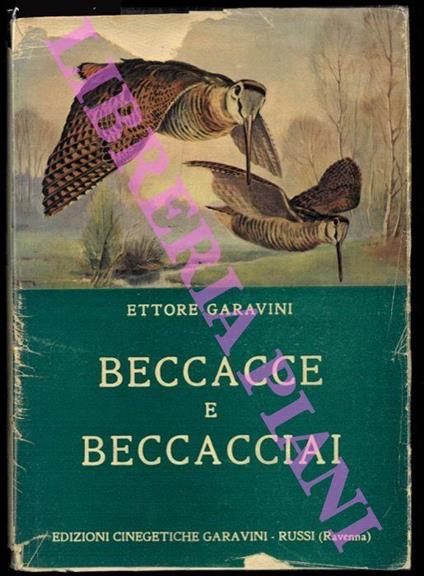 Beccacce e beccacciai - Ettore Garavini - copertina