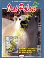 Orsi polari