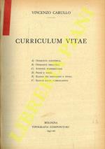 Vincenzo Carullo. Curriculum Vitae. A) Operosità scientifica. B) Operosità didattica. C) Attività professionale. D) Premi e borse. E) Elenco dei dcoumenti e titoli. F) Elenco delle pubblicazioni