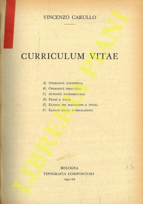 Vincenzo Carullo. Curriculum Vitae. A) Operosità scientifica. B) Operosità didattica. C) Attività professionale. D) Premi e borse. E) Elenco dei dcoumenti e titoli. F) Elenco delle pubblicazioni - Vincenzo Carullo - copertina