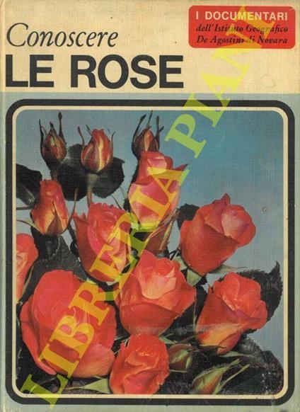 Conoscere le rose - Claudia Binelli - copertina