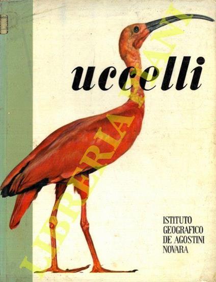 Uccelli - Marcel Belvianes - copertina