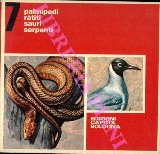 Palmipedi. Ratiti. Sauri. Serpenti - copertina