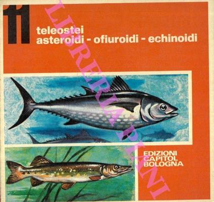 Teleostei. Asteroidi. Ofiuroidi. Echinoidi - copertina