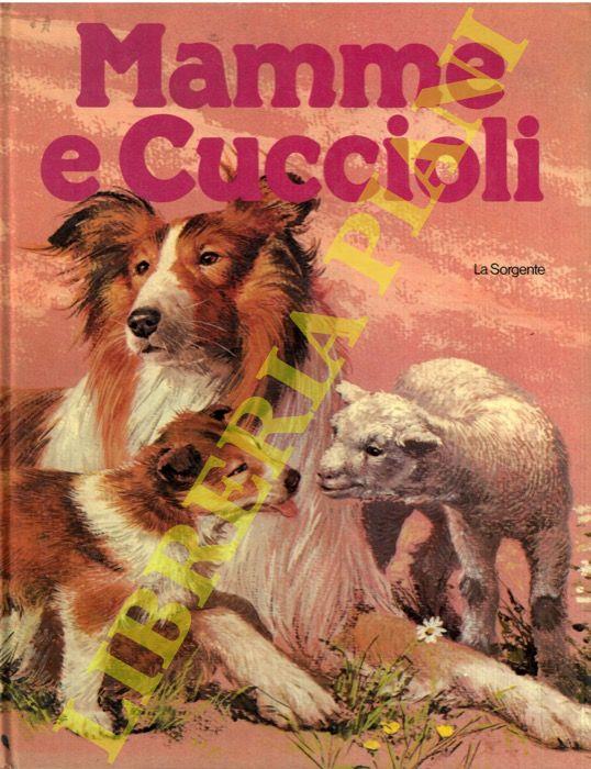 Libreria Piani