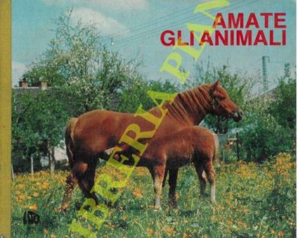 Amate gli animali. Due piccoli amici. Cinque fratellini. Pecora nera e cucciolo. Due capre lottano. I paperini hanno fame. Il cigno - copertina