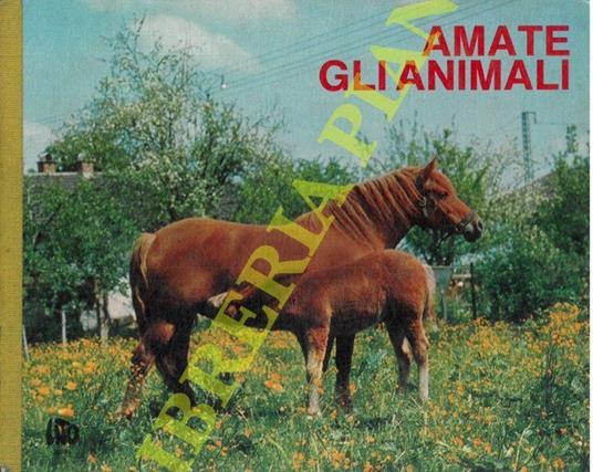 Amate gli animali. Due piccoli amici. Cinque fratellini. Pecora nera e cucciolo. Due capre lottano. I paperini hanno fame. Il cigno - copertina