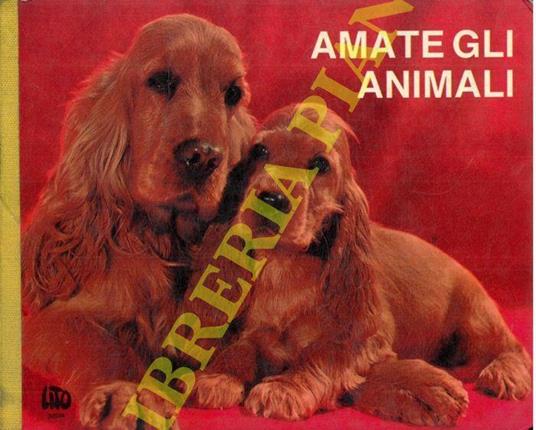 Amate gli animali. Il pony. La pecora allatta. I cigni sull'isolotto. Bue al sole. Gallina. Il cane Lassie - copertina