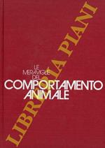 Artico