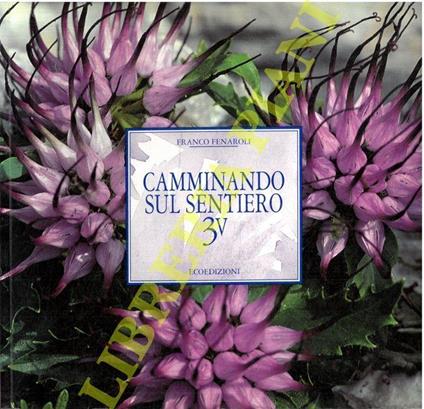Camminando sul sentiero 3V - copertina