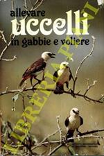 Allevare uccelli in gabbie e voliere