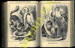 Strenna del Fischietto pel 1864, 1865 e 1866