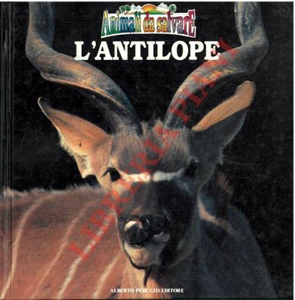 L' antilope. Animali da salvare - copertina