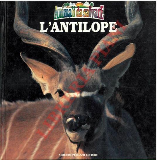 L' antilope. Animali da salvare - copertina