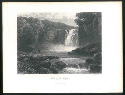 Falls of the Hespte - J. L. B. Smith - copertina