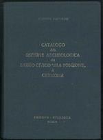 Catalogo della sezione archeologica del Museo Civico 
