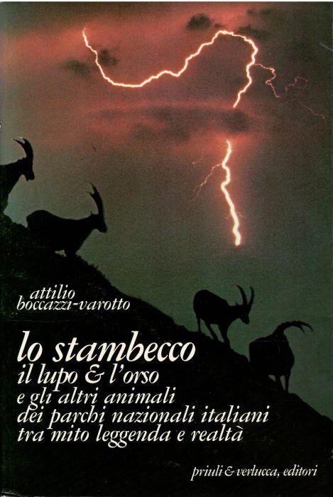 Libroteka di Fattoretti Silvia