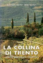 La Collina di Trento. Storia. Paesaggio. Itinerari